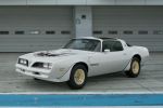 Cameo White / Hood Bird