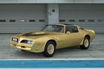 Solar Gold / Hood Bird