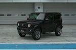 Bluish Black Pearl 3