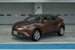 Dark Brown Mica Metallic