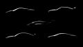Thumbnail for version as of 09:48, 8 October 2025