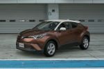 White / Dark Brown Mica Metallic